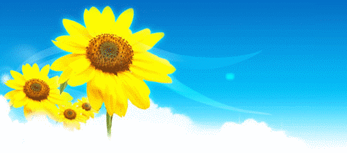 百分比俱樂部 (PERCENT CLUB)