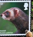 保護動物郵票